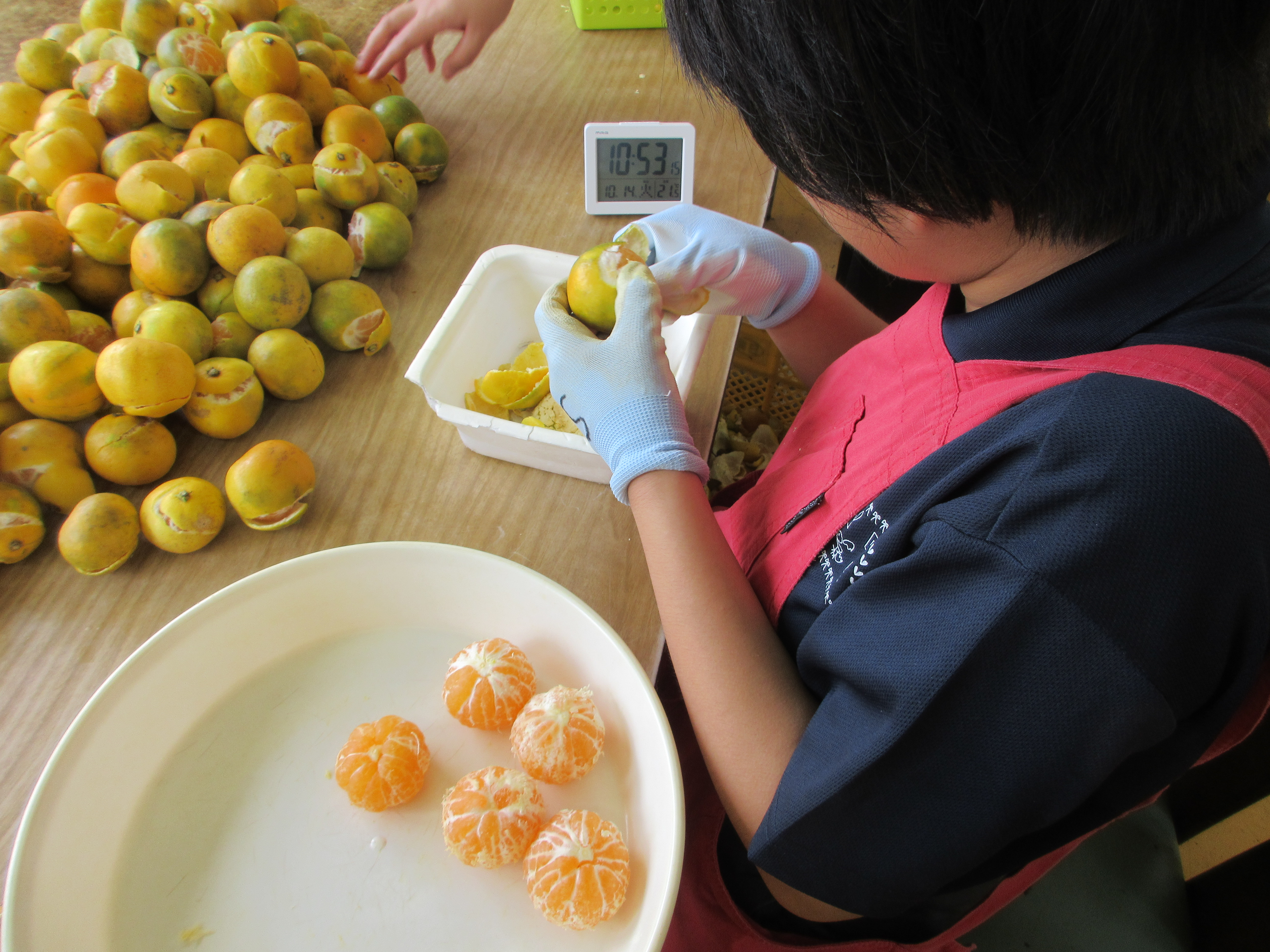 学校生活の様子 宿泊学習